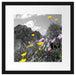 Blumenwiese im Frühling Passepartout Quadratisch 40x40