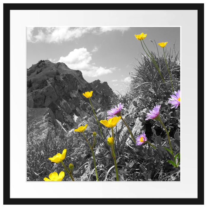 Blumenwiese im Frühling Passepartout Quadratisch 55x55