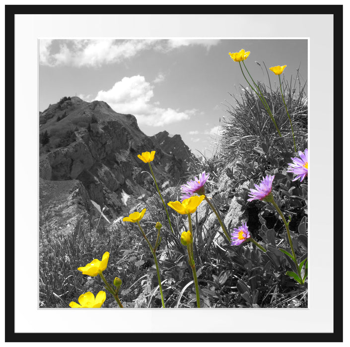 Blumenwiese im Frühling Passepartout Quadratisch 70x70