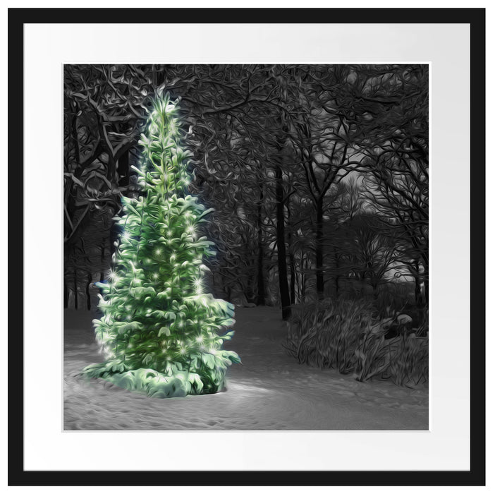 Weihnachtsbaum im Winter Passepartout Quadratisch 55x55