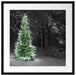 Weihnachtsbaum im Winter Passepartout Quadratisch 55x55