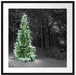 Weihnachtsbaum im Winter Passepartout Quadratisch 70x70