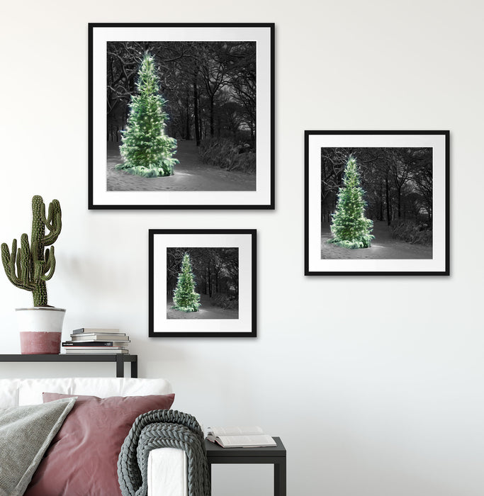 Weihnachtsbaum im Winter Quadratisch Passepartout Wohnzimmer