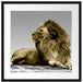 majestäischer Löwe auf Fels Passepartout Quadratisch 55x55