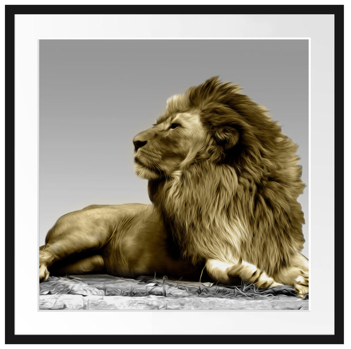 majestäischer Löwe auf Fels Passepartout Quadratisch 70x70