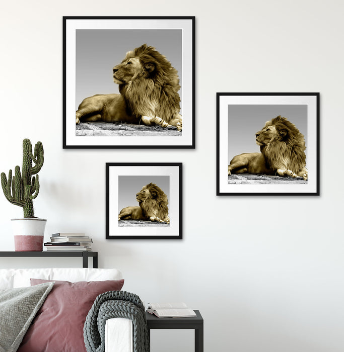 majestäischer Löwe auf Fels Quadratisch Passepartout Wohnzimmer