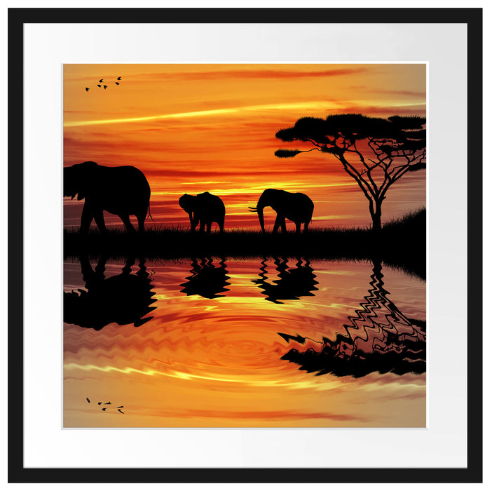 Afrika Elefant in Sonnenschein Passepartout Quadratisch 55x55