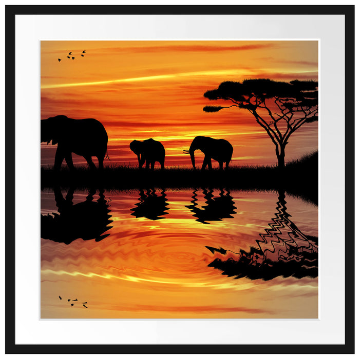 Afrika Elefant in Sonnenschein Passepartout Quadratisch 70x70