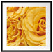 Blumen Rosen Passepartout Quadratisch 55x55