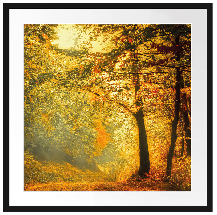 Wald im Herbst Passepartout Quadratisch 70x70