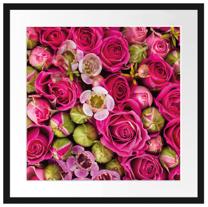 Rosa Rote Roten Passepartout Quadratisch 55x55