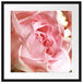 Rosa Rose Passepartout Quadratisch 55x55