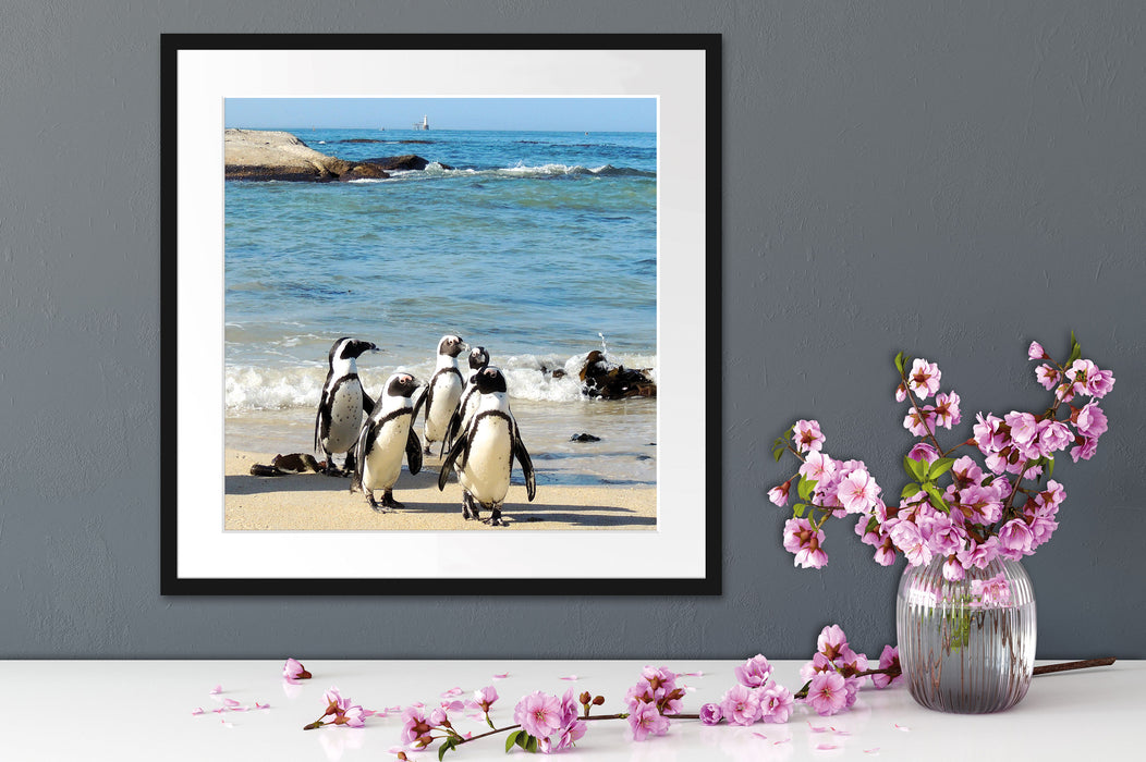 Pinguine am Strand Quadratisch Passepartout Dekovorschlag