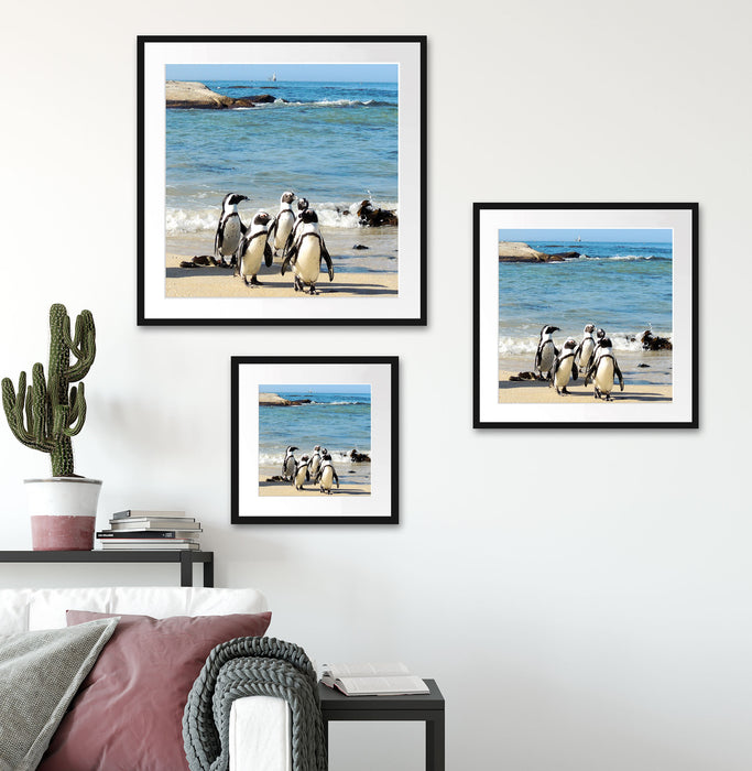 Pinguine am Strand Quadratisch Passepartout Wohnzimmer