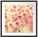 Kirschblüten B&W Passepartout Quadratisch 55x55