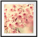 Kirschblüten B&W Passepartout Quadratisch 70x70