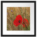 Mohnblumen im Getreidefeld B&W Passepartout Quadratisch 40x40