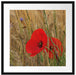 Mohnblumen im Getreidefeld B&W Passepartout Quadratisch 55x55