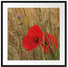 Mohnblumen im Getreidefeld B&W Passepartout Quadratisch 70x70