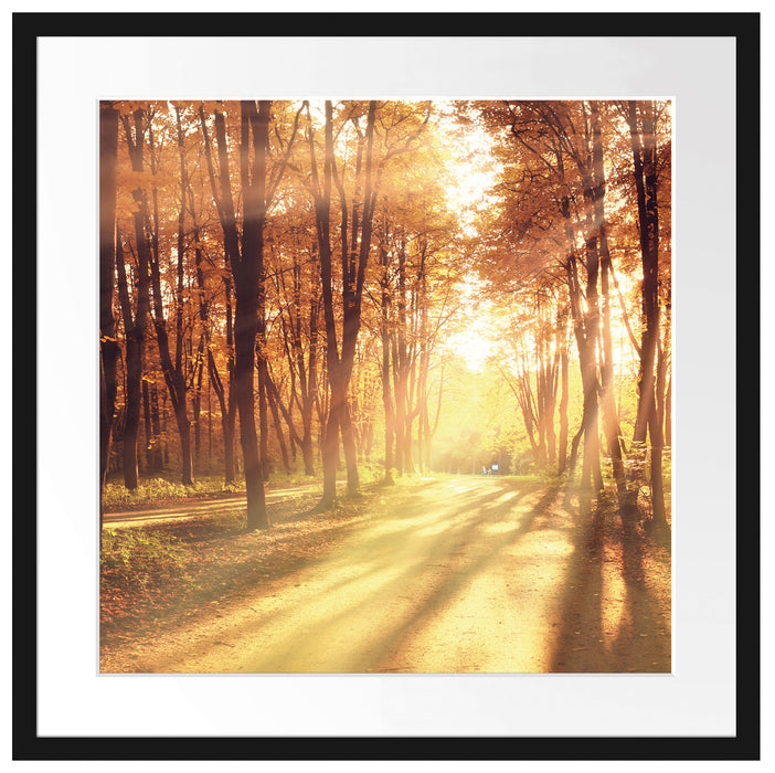 Baumallee im Herbst Passepartout Quadratisch 55x55