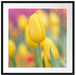 Gelbe Tulpen im Frühling B&W Passepartout Quadratisch 70x70