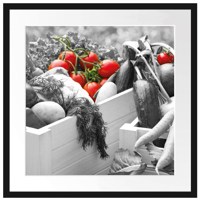 Tomaten im Gemüsekorb Passepartout Quadratisch 55x55