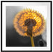 Pusteblume Passepartout Quadratisch 70x70