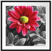 wunderschöner Chrysanthemen Strauß Passepartout Quadratisch 70x70