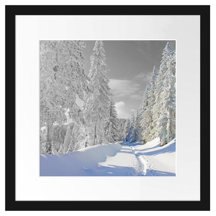 Winterlandschaft mit Bäumen Passepartout Quadratisch 40x40