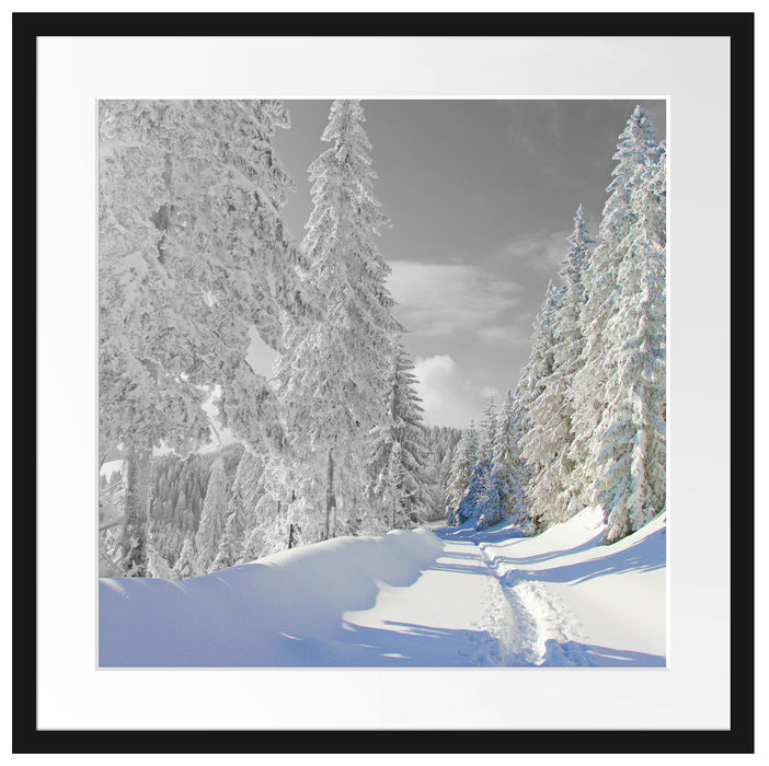 Winterlandschaft mit Bäumen Passepartout Quadratisch 55x55