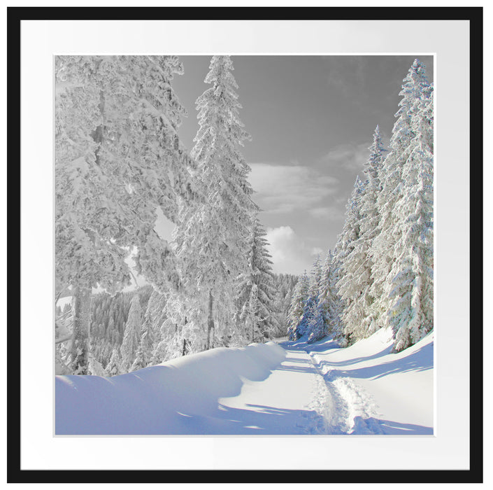 Winterlandschaft mit Bäumen Passepartout Quadratisch 70x70