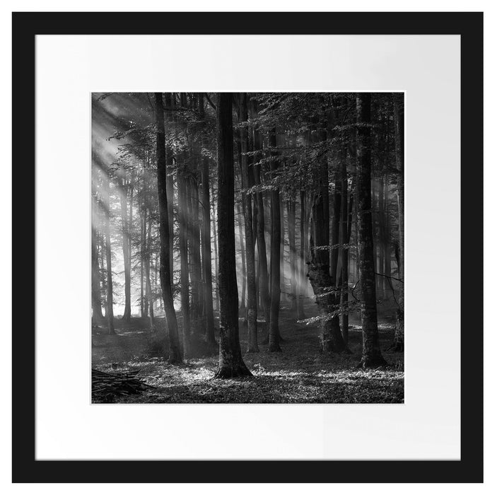 Märchenwald Passepartout Quadratisch 40x40