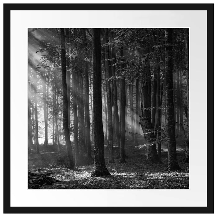 Märchenwald Passepartout Quadratisch 55x55