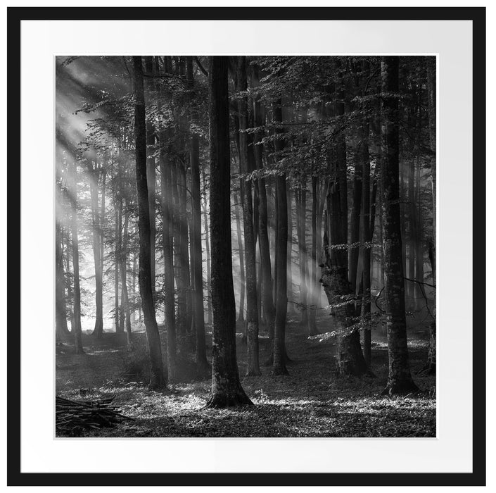 Märchenwald Passepartout Quadratisch 70x70