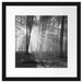 Wald mit Sonnenstrahlen Passepartout Quadratisch 40x40