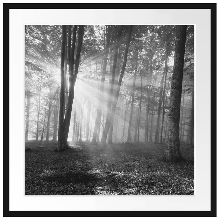 Wald mit Sonnenstrahlen Passepartout Quadratisch 70x70