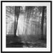 Wald mit Sonnenstrahlen Passepartout Quadratisch 70x70