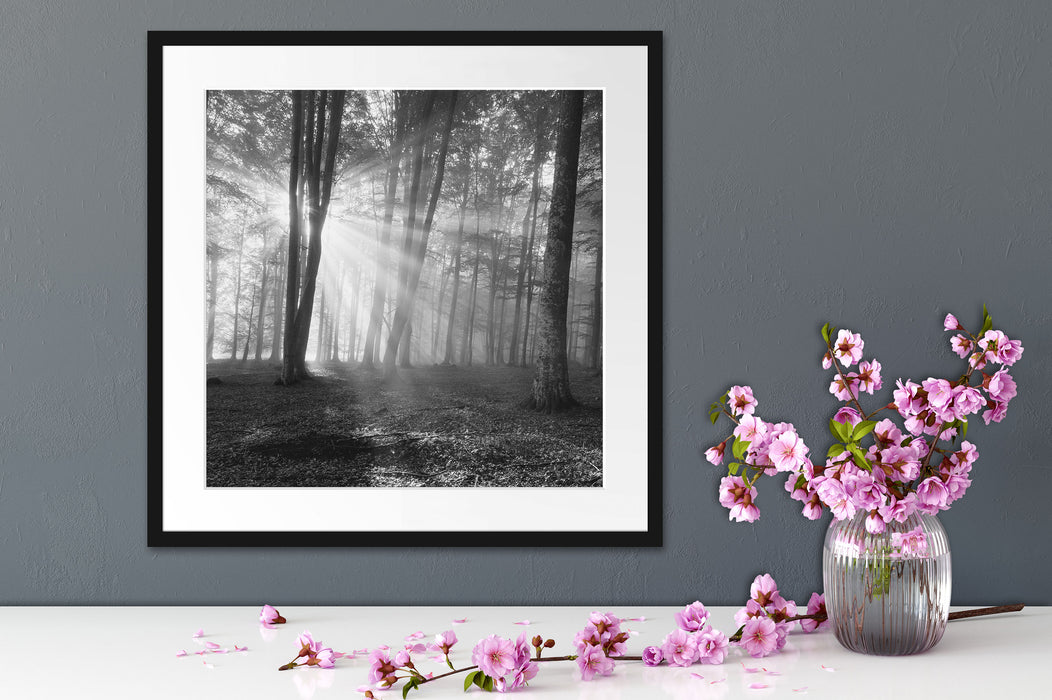 Wald mit Sonnenstrahlen Quadratisch Passepartout Dekovorschlag