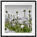 Blumenwiese Mohnblumen Passepartout Quadratisch 55x55
