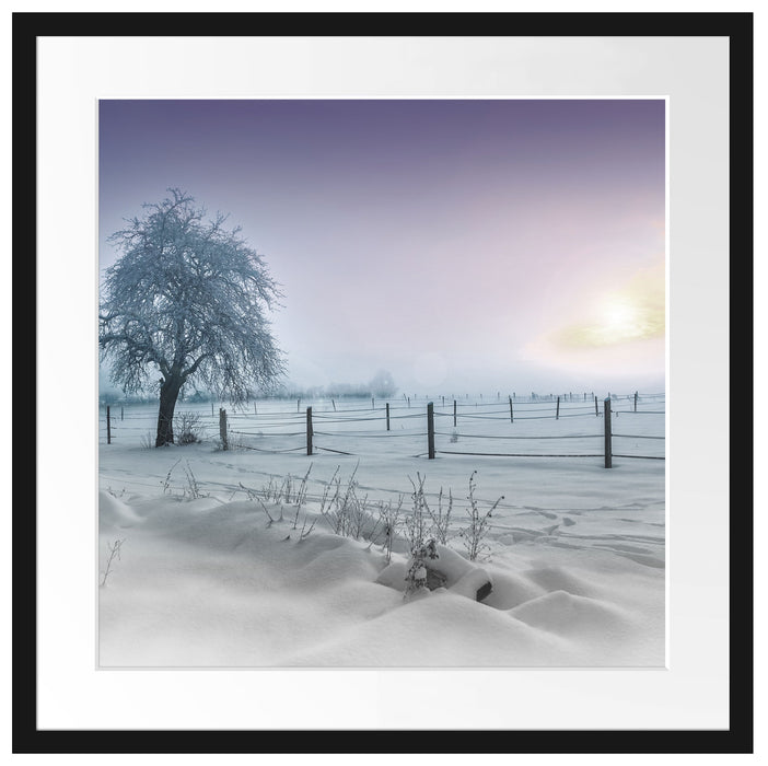 Baum in Winterlandschaft Passepartout Quadratisch 55x55