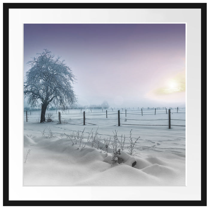 Baum in Winterlandschaft Passepartout Quadratisch 70x70