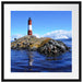 Leuchtturm mit Robben Passepartout Quadratisch 55x55