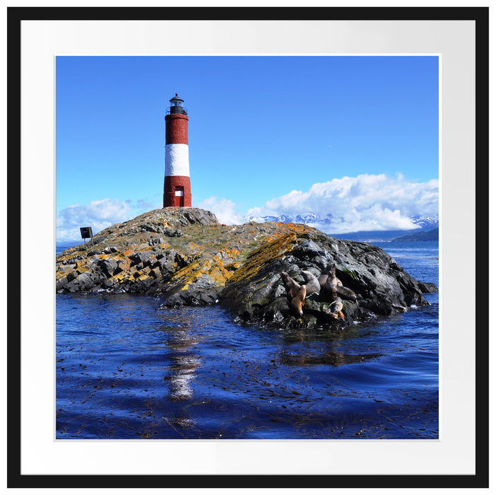 Leuchtturm mit Robben Passepartout Quadratisch 70x70