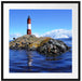 Leuchtturm mit Robben Passepartout Quadratisch 70x70