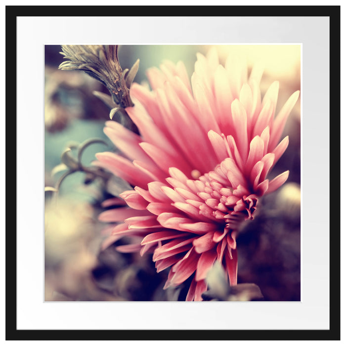 Romantische Blumen Passepartout Quadratisch 55x55