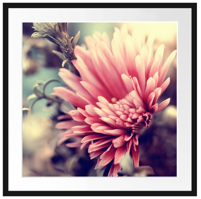 Romantische Blumen Passepartout Quadratisch 70x70