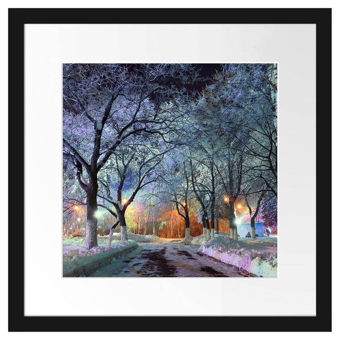 Baumallee im Winter Passepartout Quadratisch 40x40