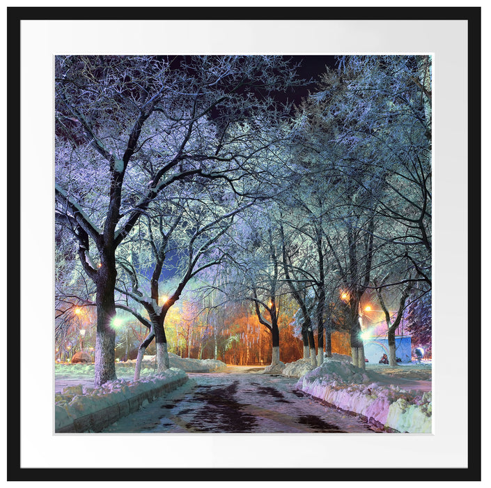 Baumallee im Winter Passepartout Quadratisch 70x70