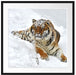 Amur Tiger im Schnee Passepartout Quadratisch 70x70