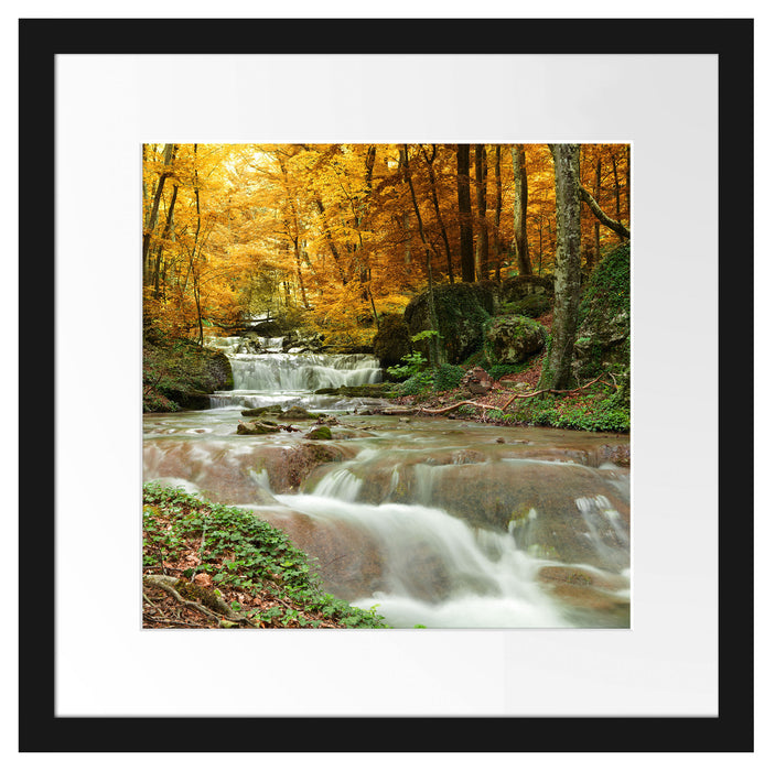 Waldbach im Herbst Passepartout Quadratisch 40x40